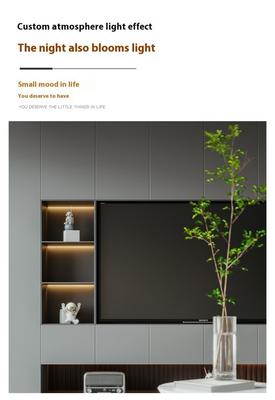 Modern TV Wall Niche 75 Inch Rectangular Wall Mounted With LED